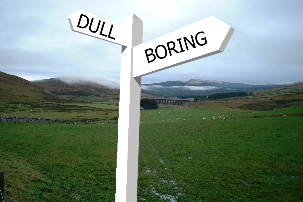 Dull Life Meaning